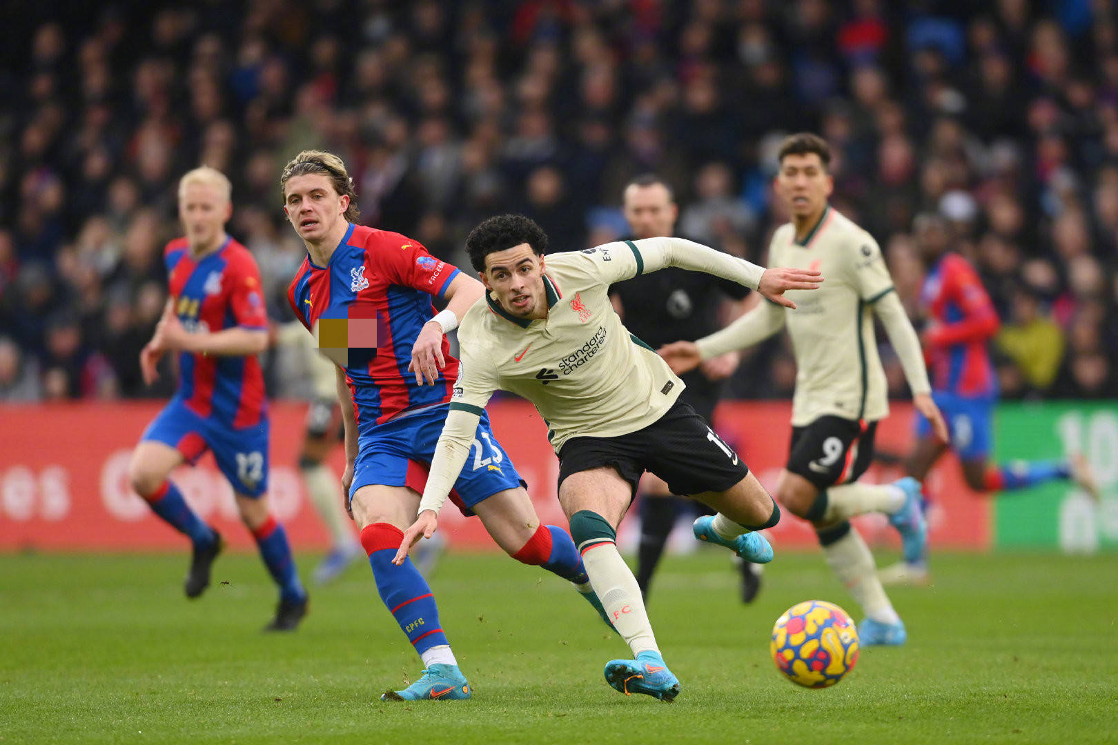 龚翔宇的蜕 龚翔宇的蜕