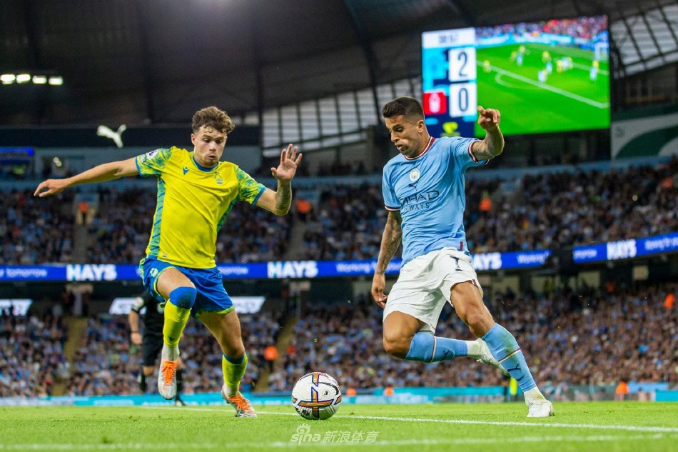 他迅速赢得 他迅速赢得